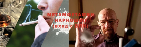 шишки Абаза