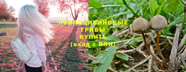 эйфоретик Алексин