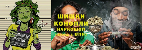 шишки Абаза