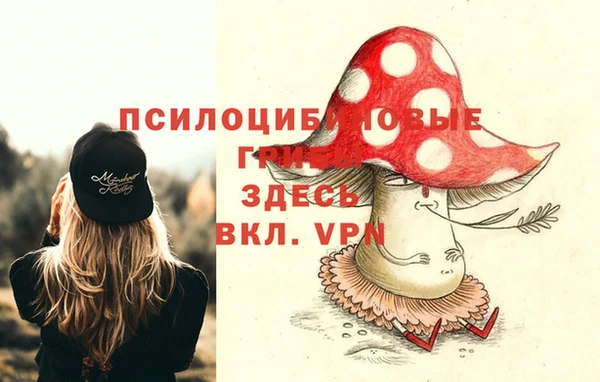 тгк Алексеевка
