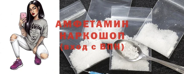 шишки Абаза