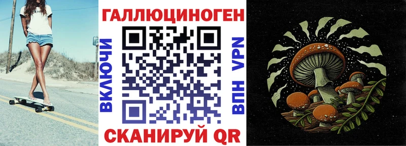 ссылка на мегу   Сокол  Псилоцибиновые грибы мухоморы  где можно купить  